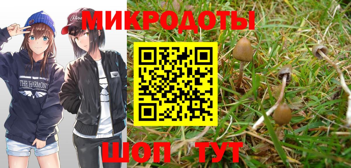 Галлюциногенные грибы MAGIC MUSHROOMS  Псилоцибиновые грибы ЛСД  Оренбург  Вход с VPN 