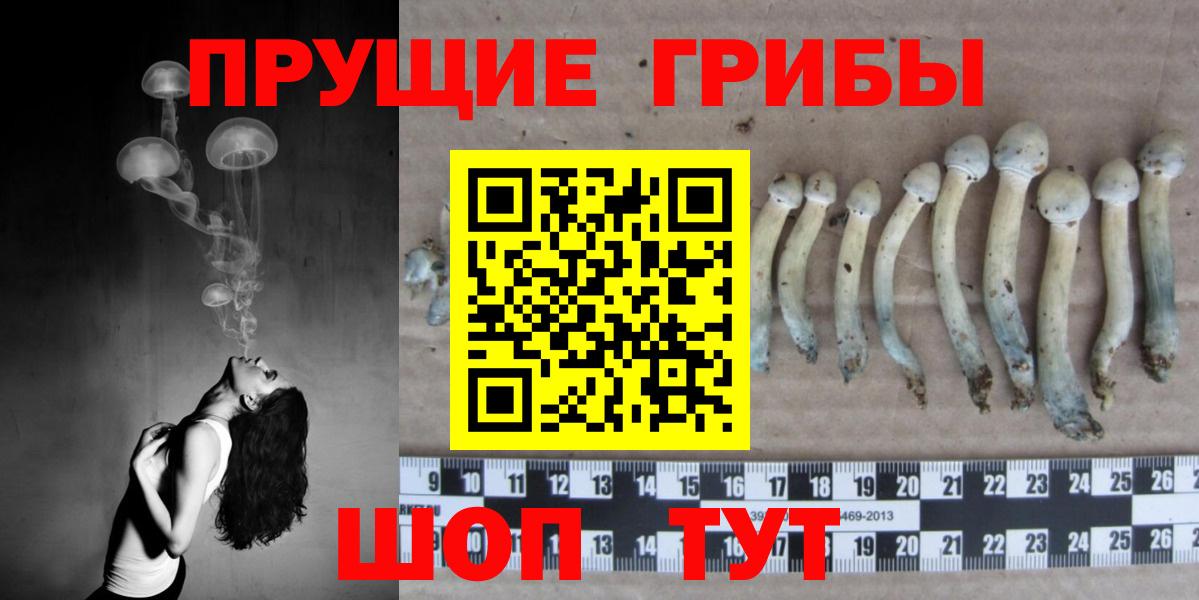 Галлюциногенные грибы Magic Shrooms Оренбург