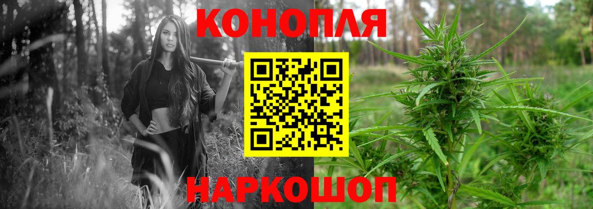Бошки марихуана Ganja  Бошки марихуана план  Марихуана THC 21%  Оренбург  Вход с VPN  Бошки Шишки Bruce Banner 